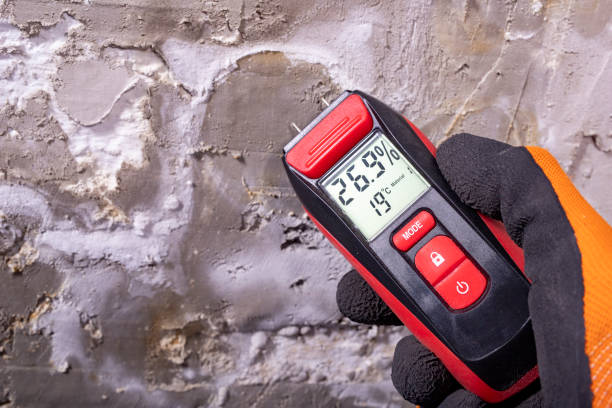 Attic Mold Removal in Santa Ana Pueblo, NM